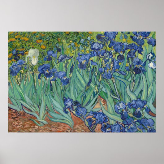Vincent van Gogh - Irises Poster (Voorkant)