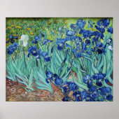 Vincent van Gogh, Irises. Poster (Voorkant)