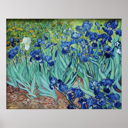 Vincent van Gogh, Irises. Poster (Voorkant)
