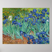 Vincent Van Gogh - Irises Poster (Voorkant)