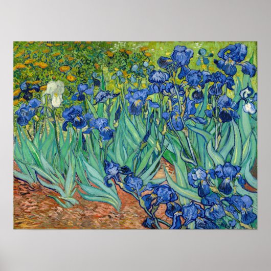 Vincent Van Gogh - Irises Poster (Voorkant)
