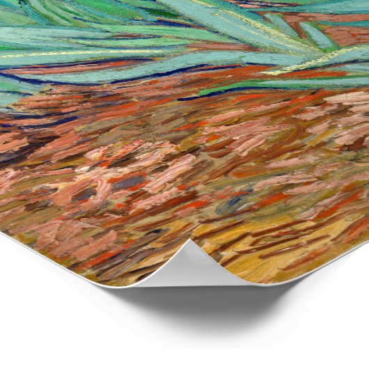 Vincent Van Gogh - Irises Poster (Hoek)