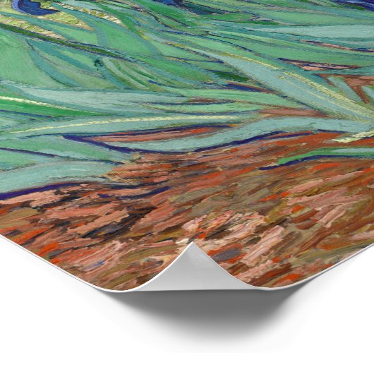 Vincent van Gogh - Irises Poster (Hoek)