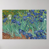 Vincent van Gogh - Irises Poster (Voorkant)