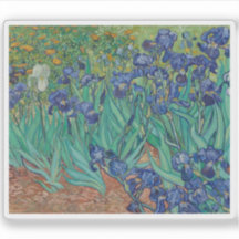 Vincent van Gogh - Irises