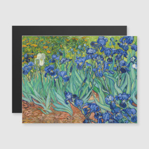Vincent Van Gogh - Irissen