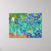 VINCENT VAN GOGH - Irissen 1889 Canvas Afdruk (Voorkant)