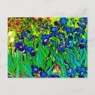 Vincent Van Gogh - Irissen - Bloemenliefhebber Pop Briefkaart
