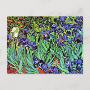 Vincent Van Gogh - Irissen - Bloemliefhebber Kunst Briefkaart