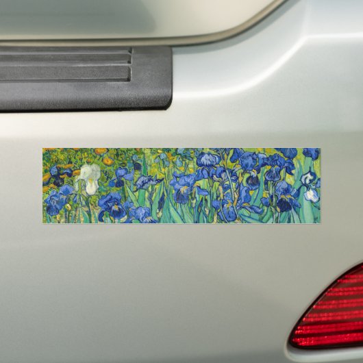 Vincent Van Gogh - Irissen Bumpersticker (Op auto)
