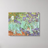 Vincent van Gogh - Irissen Canvas Afdruk (Voorkant)