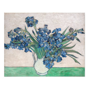 Vincent van Gogh - Irissen Foto Afdruk