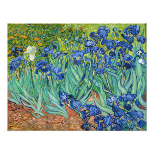 Vincent Van Gogh - Irissen Foto Afdruk