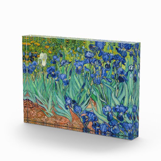 Vincent Van Gogh - Irissen Fotoblokken (Rechts)