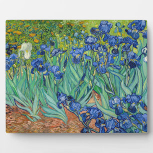 Vincent Van Gogh - Irissen Fotoplaat
