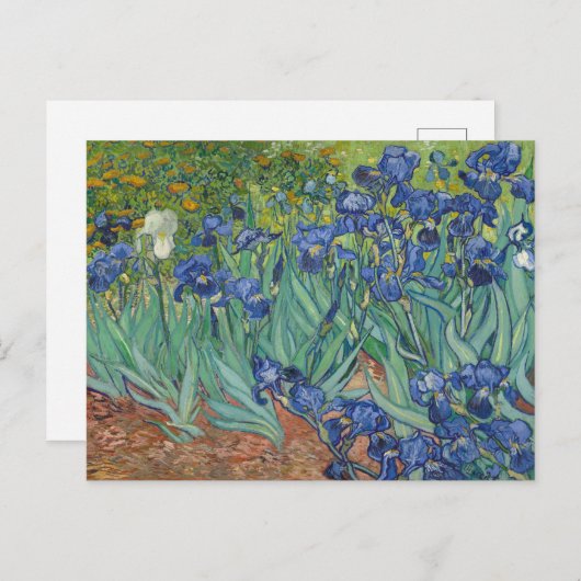 Vincent van Gogh, Irissen, Les Iris Briefkaart (Voorkant / Achterkant)