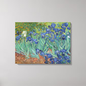 Vincent van Gogh, Irissen, Les Iris Canvas Afdruk (Voorkant)