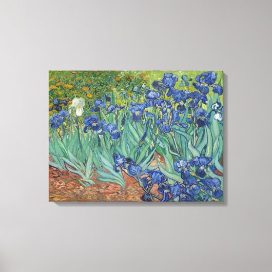 Vincent van Gogh, Irissen, Les Iris Canvas Afdruk (Voorkant)