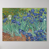 Vincent van Gogh, Irissen, Les Iris Folie Afdrukken (Voorkant)