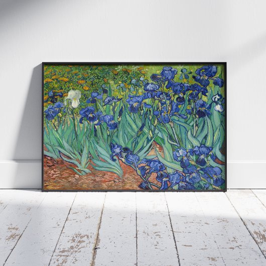 Vincent van Gogh, Irissen, Les Iris Foto Afdruk
