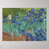 Vincent van Gogh, Irissen, Les Iris Poster (Voorkant)