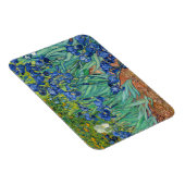 Vincent Van Gogh - Irissen Magneet (Rechterzijde)