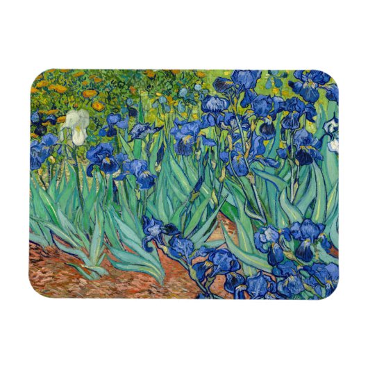 Vincent Van Gogh - Irissen Magneet (Horizontaal)
