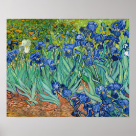 Vincent Van Gogh - Irissen Poster