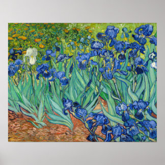 Vincent Van Gogh - Irissen Poster