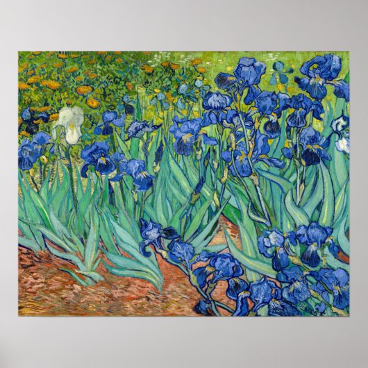 Vincent Van Gogh - Irissen Poster (Voorkant)