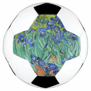 Vincent Van Gogh - Irissen Voetbal