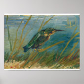 Vincent Van Gogh - Kingfisher aan de waterzijde Poster (Voorkant)