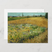 Vincent van Gogh, Korenveld, Korenveld Briefkaart (Voorkant / Achterkant)