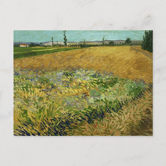 Vincent van Gogh, Korenveld, Korenveld Briefkaart (Voorkant)