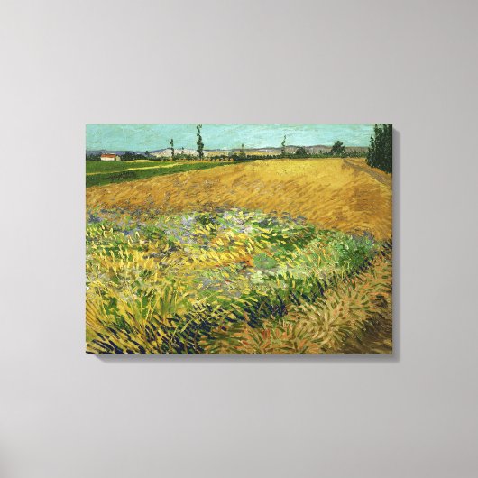 Vincent van Gogh, Korenveld, Korenveld Canvas Afdruk (Voorkant)