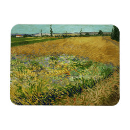 Vincent van Gogh, Korenveld, Korenveld Magneet
