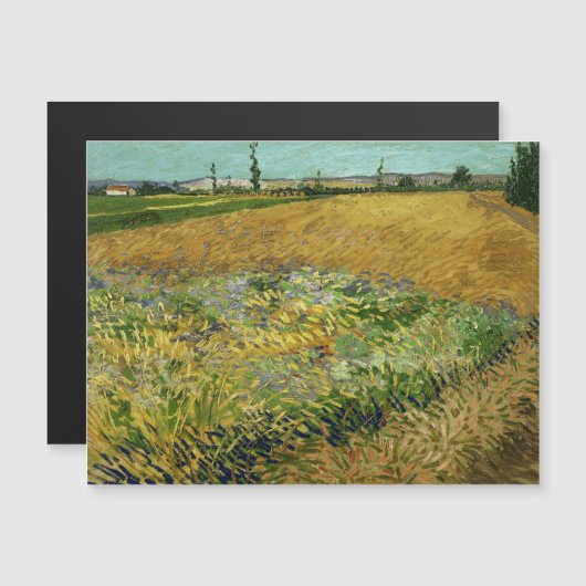 Vincent van Gogh, Korenveld, Korenveld Magnetische Uitnodiging (Voorkant / Achterkant)