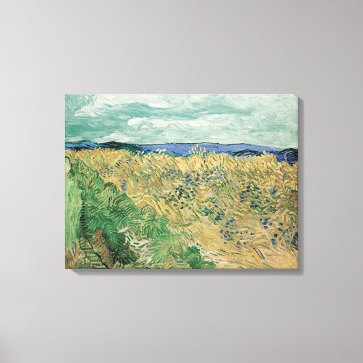 Vincent van Gogh, Korenveld met korenbloemen Canvas Afdruk (Voorkant)