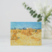 Vincent van Gogh, maïsoogst in de Provence Briefkaart (Staand voorkant)