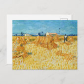 Vincent van Gogh, maïsoogst in de Provence Briefkaart (Voorkant / Achterkant)