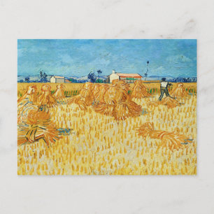 Vincent van Gogh, maïsoogst in de Provence Briefkaart