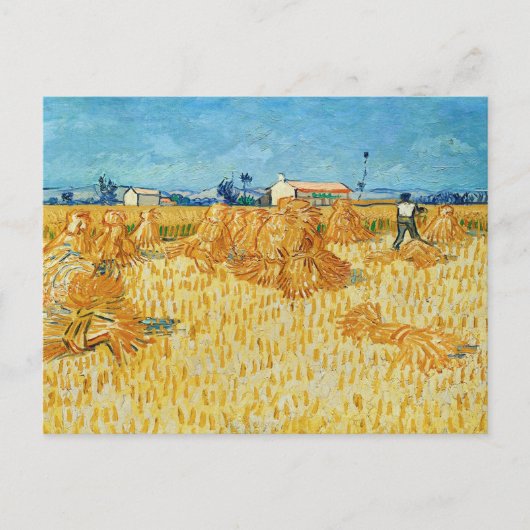 Vincent van Gogh, maïsoogst in de Provence Briefkaart (Voorkant)