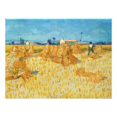 Vincent van Gogh, maïsoogst in de Provence Foto Afdruk (Voorkant)