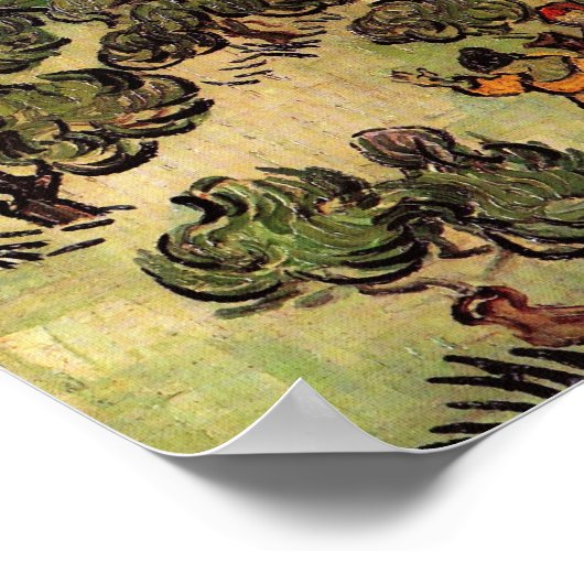 Vincent Van Gogh Moonlit Landschap Poster (Hoek)