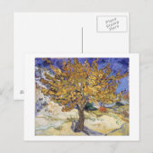 Vincent van Gogh | Mulberry Tree, 1889 Briefkaart (Voorkant / Achterkant)