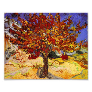 Vincent Van Gogh Mulberry Tree Fine Art Painting Foto Afdruk