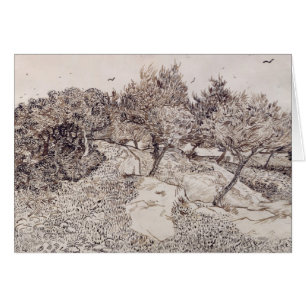 Vincent van Gogh   Olijfbomen