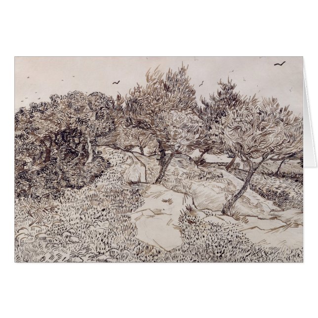 Vincent van Gogh | Olijfbomen (Voorkant Horizontaal)