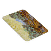 Vincent van Gogh | Olijfbomen, 1889 Magneet (Rechterzijde)