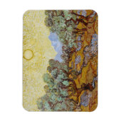 Vincent van Gogh | Olijfbomen, 1889 Magneet (Verticaal)